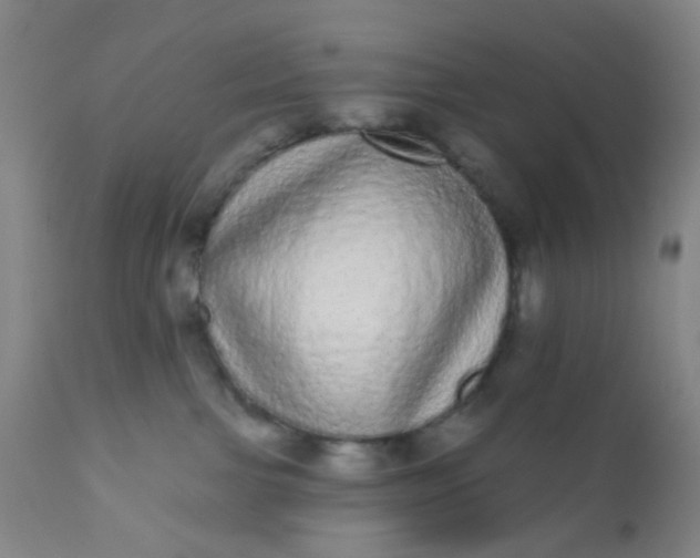 X0000110960091200907022231