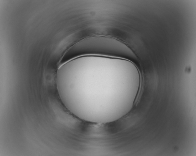 X0000110960092200907022231