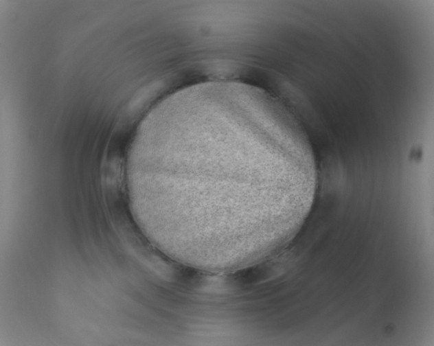 X0000110960093200907022231