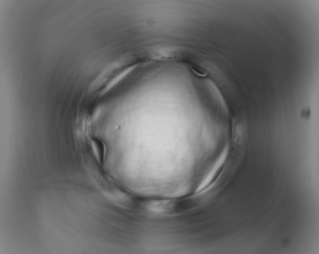 X0000110960094200907022231