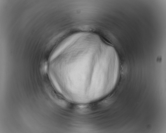 X0000110960095200907022231