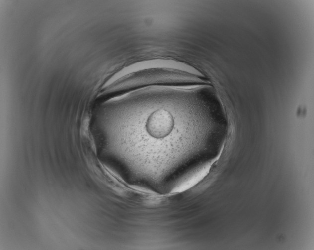 X0000110960096200907022231