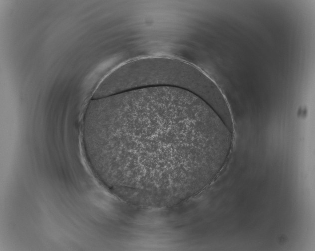 X0000110960097200907022230