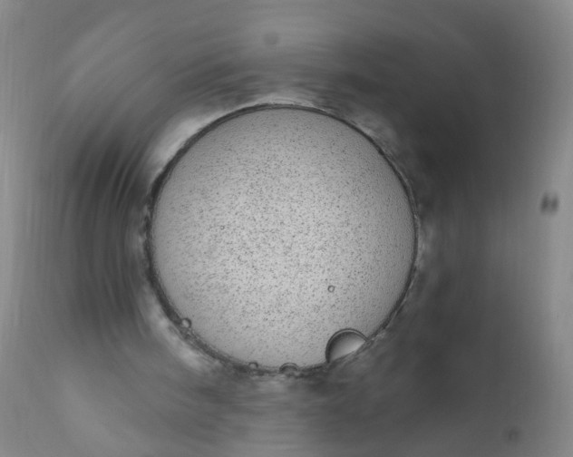 X0000110960098200907022230