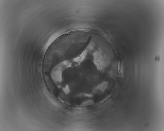 X0000110960099200907022230