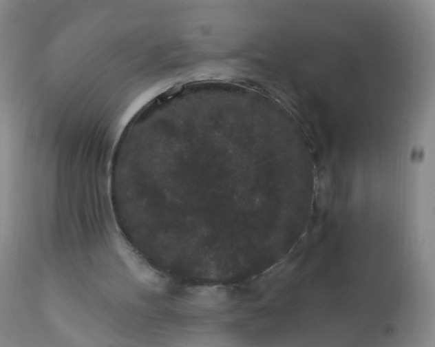 X0000110960100200907022230