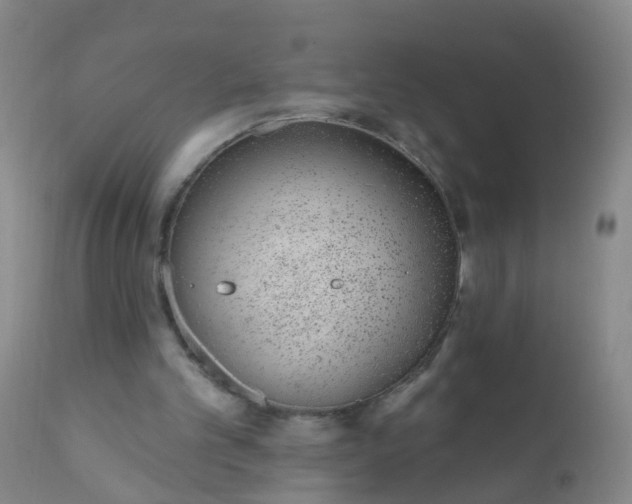 X0000110960101200907022230