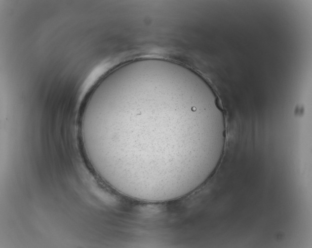 X0000110960102200907022230