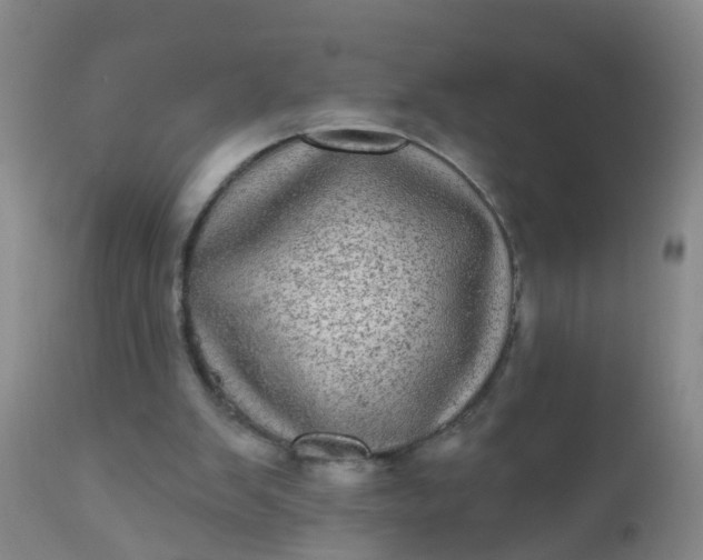 X0000110960103200907022230