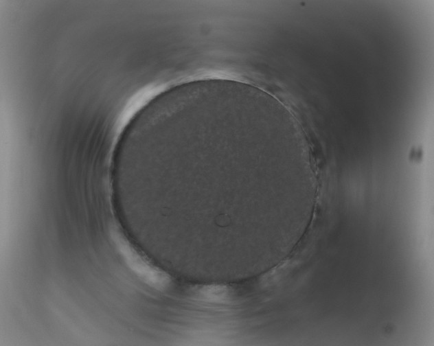 X0000110960104200907022230