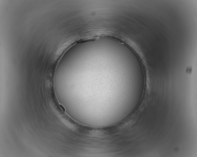 X0000110960105200907022230