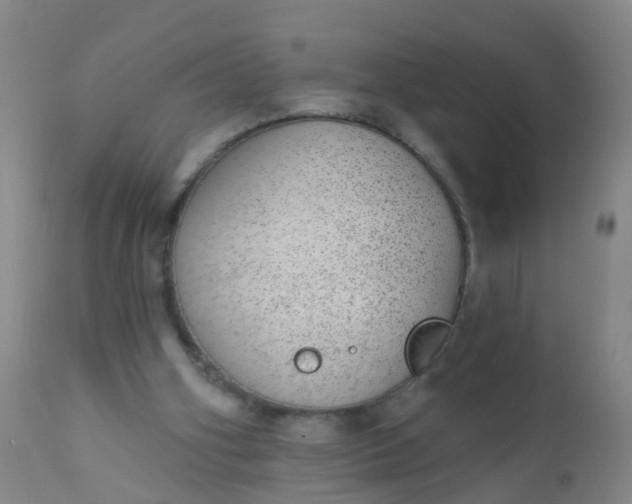 X0000110960106200907022230