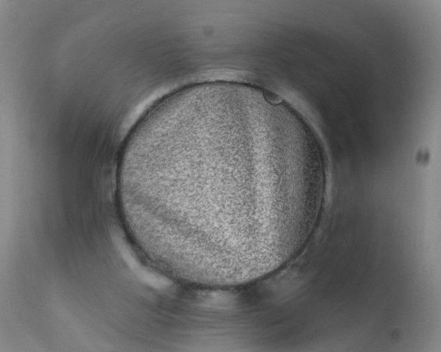 X0000110960107200907022230