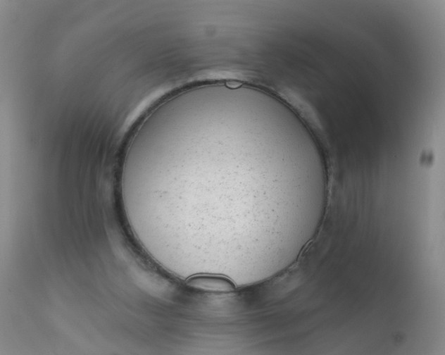 X0000110960108200907022230