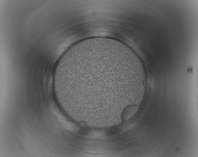 X0000110960110200907022230