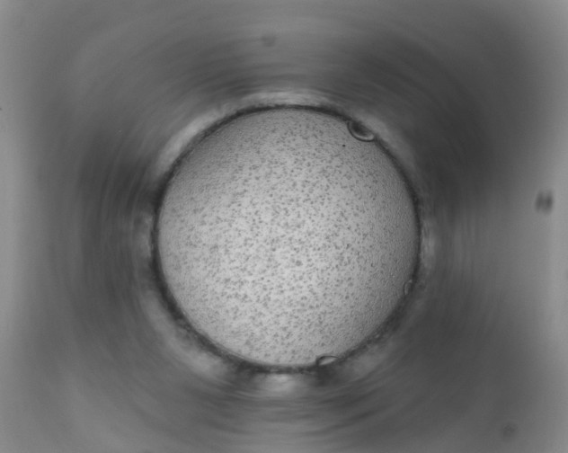 X0000110960111200907022230