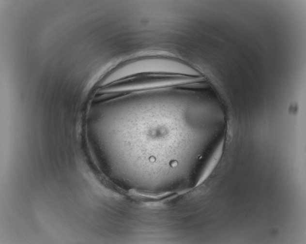 X0000110960112200907022230