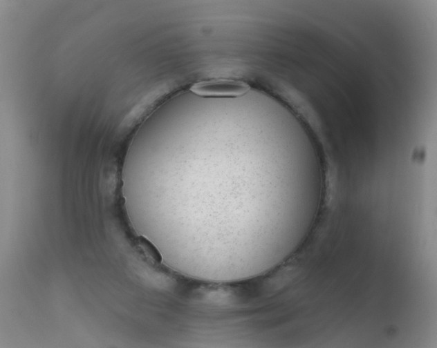 X0000110960113200907022230