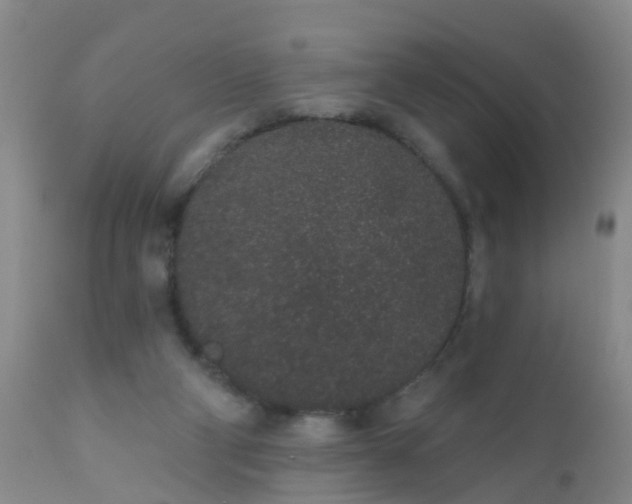 X0000110960114200907022230