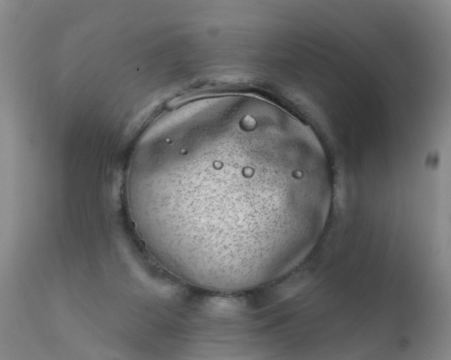 X0000110960115200907022230