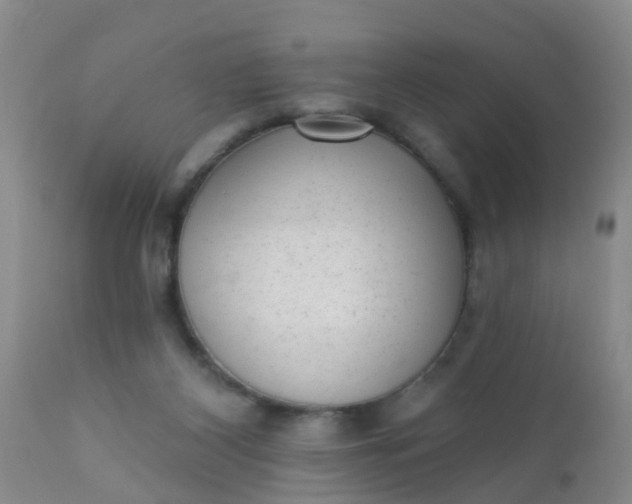 X0000110960116200907022230