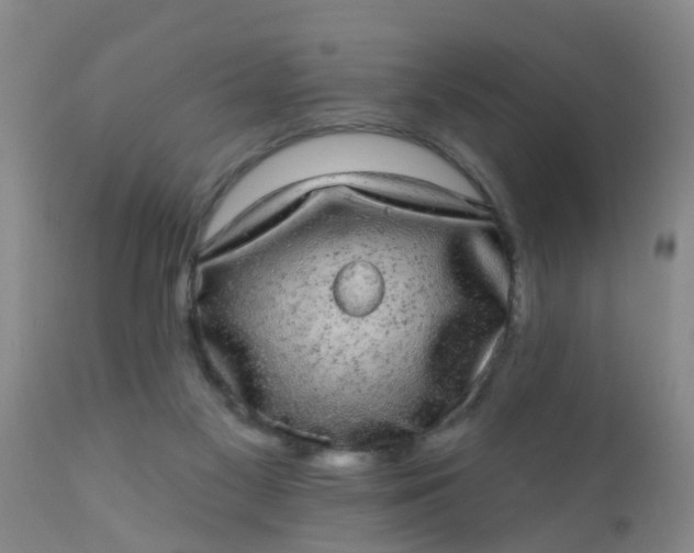 X0000110960117200907022230