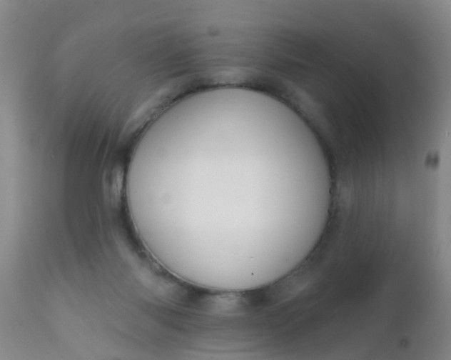 X0000110960118200907022230