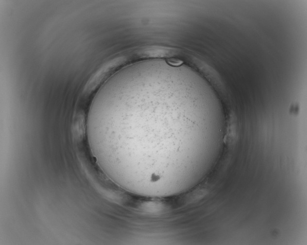 X0000110960119200907022230