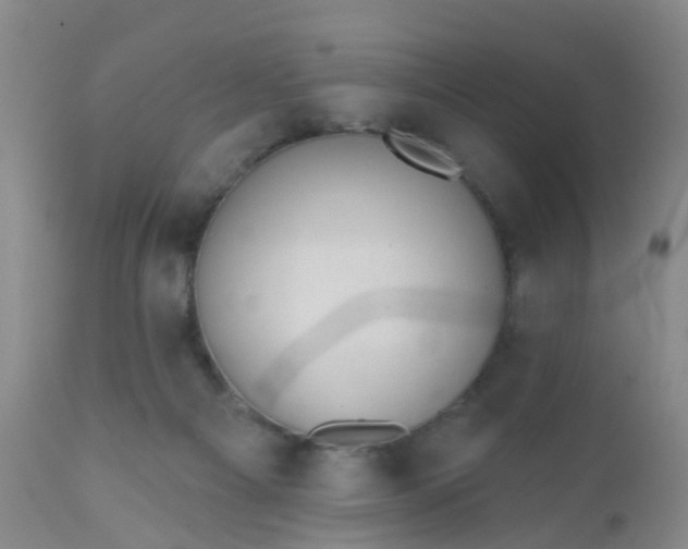 X0000110960121200907022230