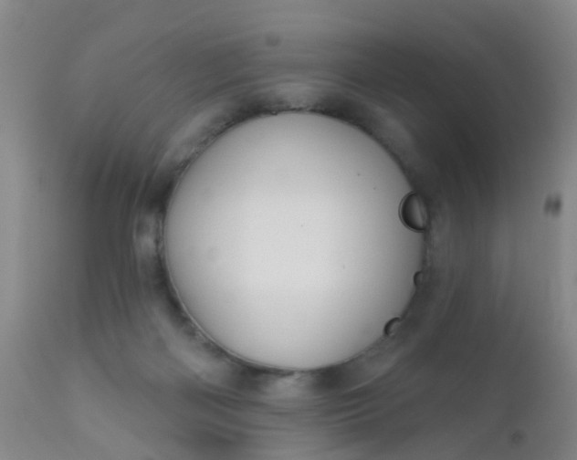 X0000110960122200907022230