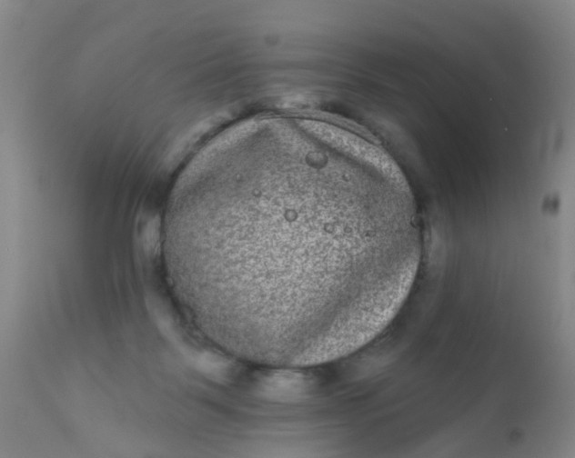 X0000110960123200907022230