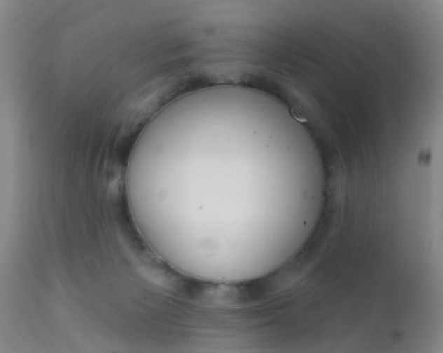 X0000110960125200907022230