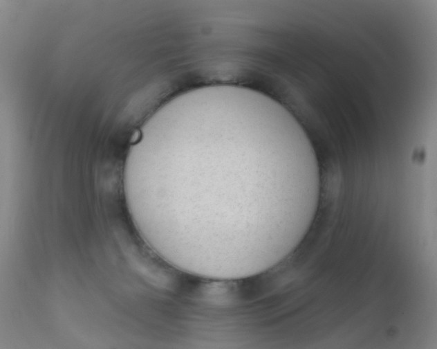 X0000110960126200907022230