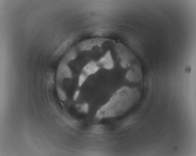 X0000110960127200907022230