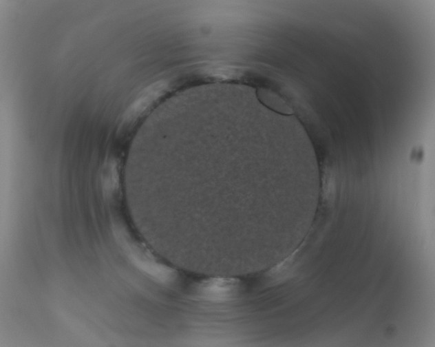 X0000110960128200907022230