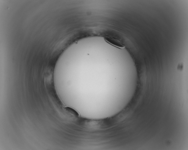 X0000110960129200907022230