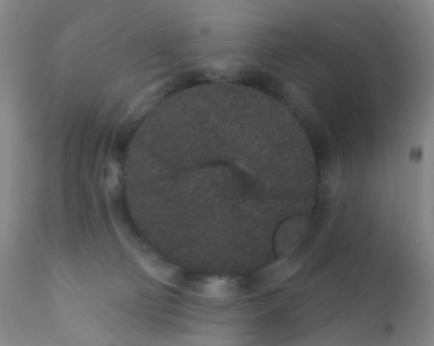 X0000110960130200907022230