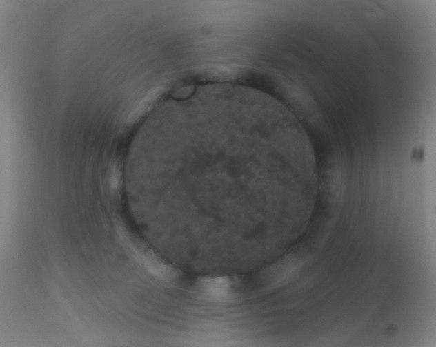 X0000110960131200907022230