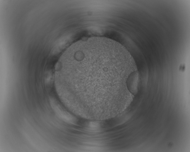 X0000110960134200907022230