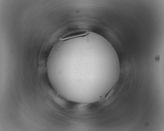 X0000110960136200907022230