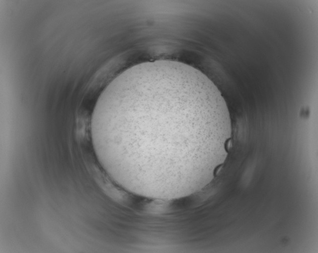 X0000110960138200907022230