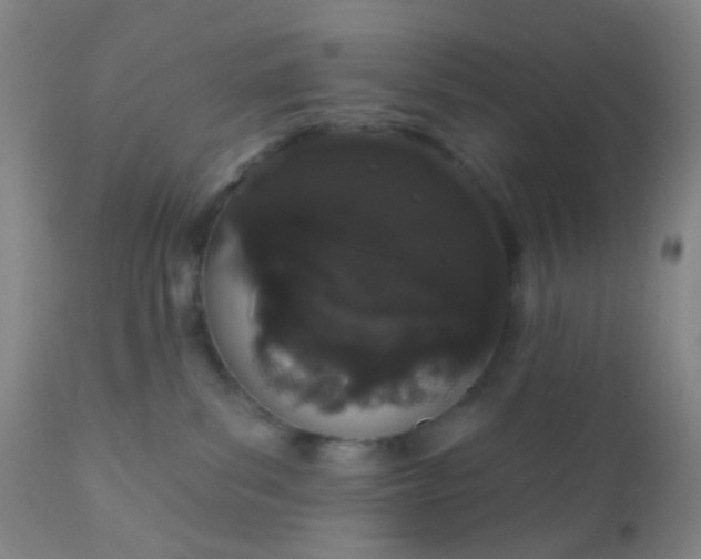 X0000110960139200907022230