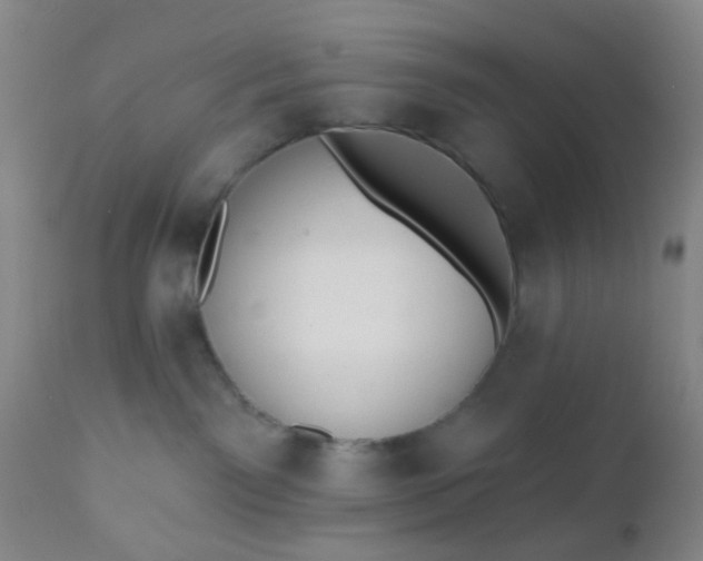 X0000110960141200907022230