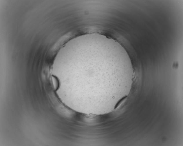 X0000110960142200907022230