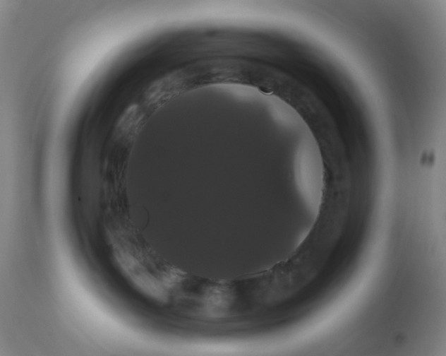 X0000110960143200907022230