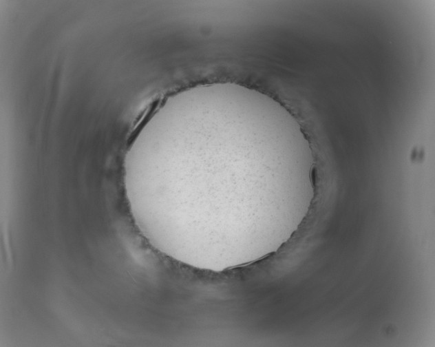 X0000110960144200907022230