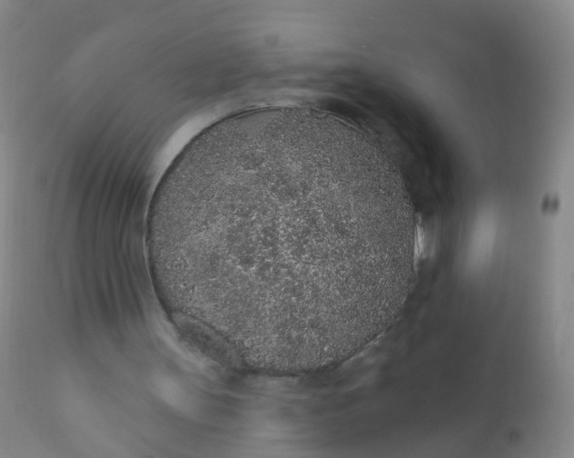 X0000110960147200907022229