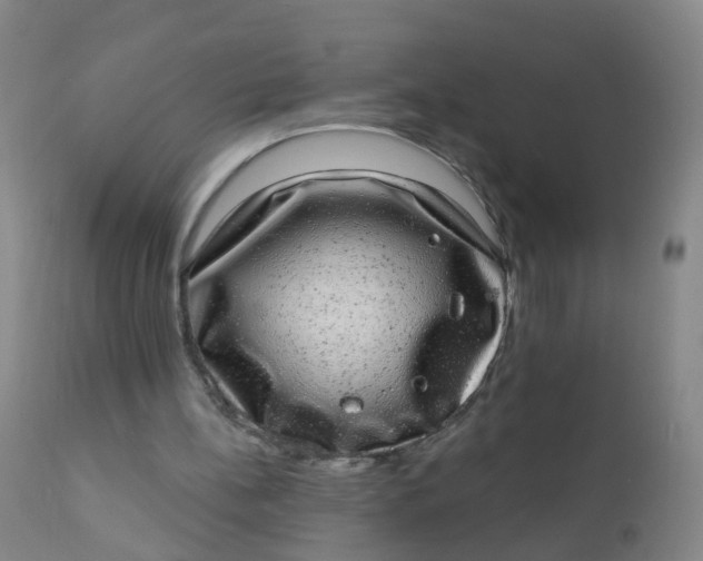 X0000110960148200907022229