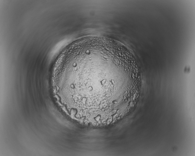 X0000110960149200907022229