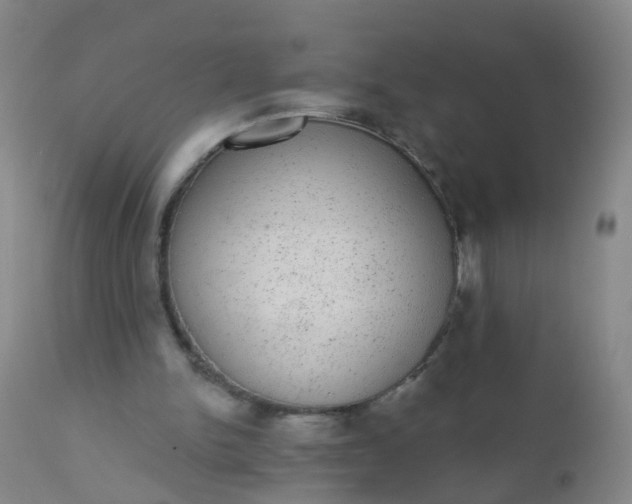 X0000110960150200907022229